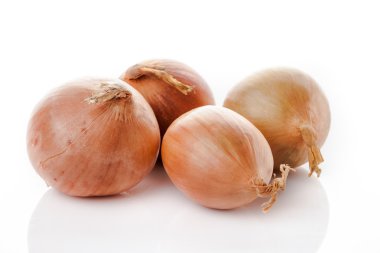 Altın taze soğan