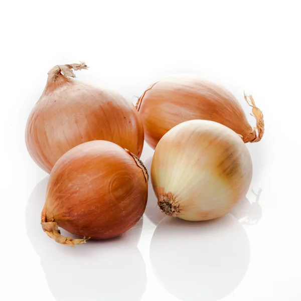 Fresh golden onions — Stock Photo, Image