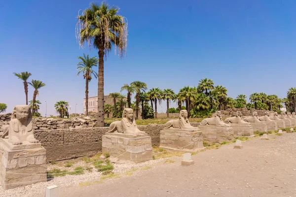 Sphingen im Luxor-Tempel — Stockfoto