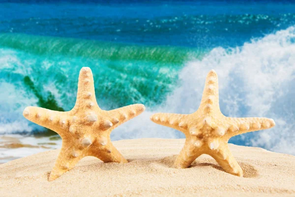 Starfishes en la playa de arena —  Fotos de Stock
