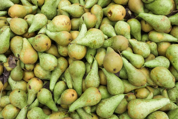 Αχλάδια πράσινα. Τα φρέσκα αχλάδια — Φωτογραφία Αρχείου