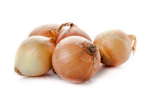 Ripe onion on a white background — Stock Photo, Image