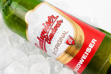 Düsseldorf, Almanya - 21 Nisan 2016: Budweiser lager bira Isola