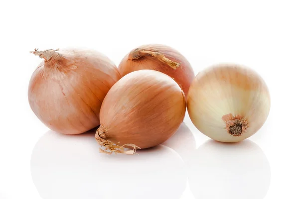 Zwiebelzwiebeln isoliert auf weißem Hintergrund — Stockfoto