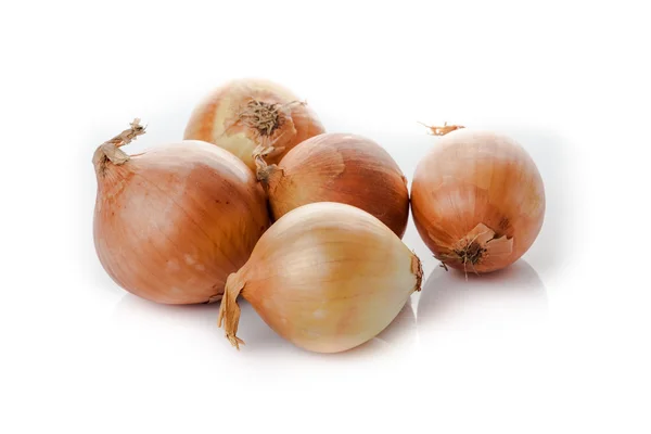 Onion bulbs isolated on white background — Stock Photo, Image