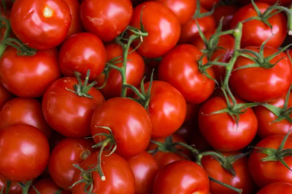 Pomodori freschi. sfondo pomodori rossi. Gruppo di pomodori — Foto Stock
