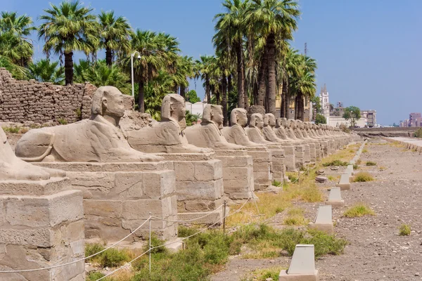 Allee der Sphinxen, Ägypten — Stockfoto