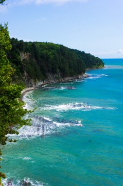 Kiselev rock Tuapse yakınındaki Rusya'da Karadeniz. Rusya