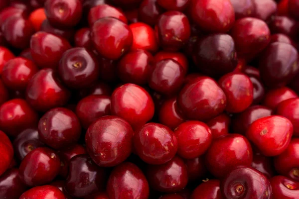 Fundo de cereja vermelho. Cerejas vermelhas maduras deliciosas — Fotografia de Stock