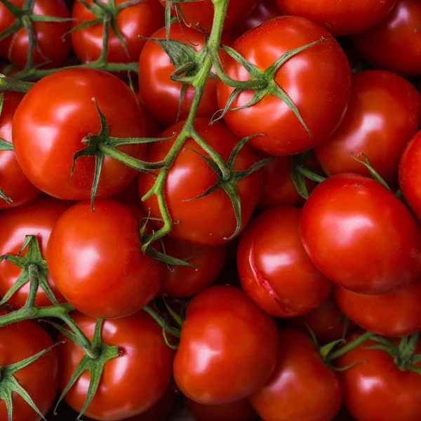 Tomates frescos. fondo de tomates rojos. Grupo de tomates —  Fotos de Stock