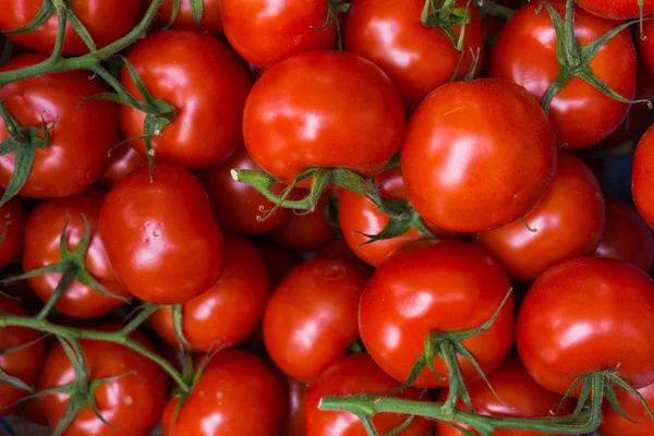 Tomates frescos. tomate vermelho fundo. Grupo de tomates — Fotografia de Stock