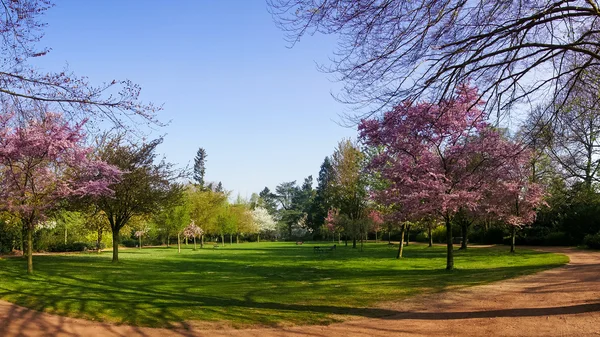 Gyönyörű park. Gyönyörű táj. Kert — Stock Fotó