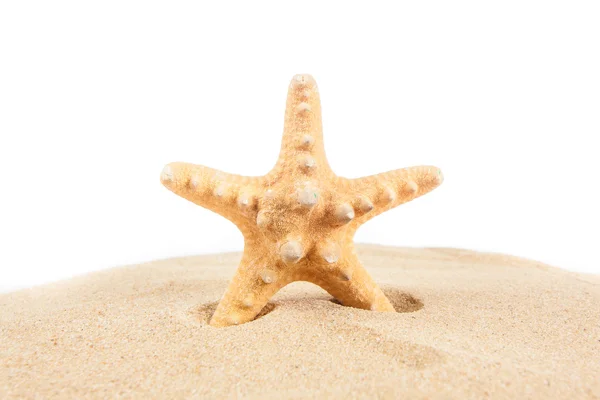 Starfish on the Sand. Vacation concept — Stock Photo, Image