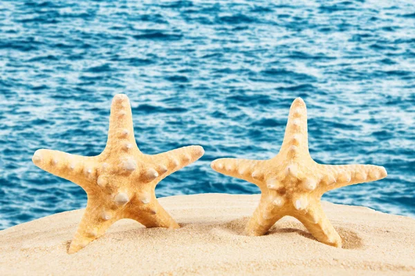 Achtergrond van de zomertijd. Zomer concept — Stockfoto