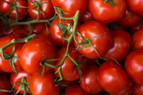 Tomates frescos. fondo de tomates rojos. Grupo de tomates —  Fotos de Stock