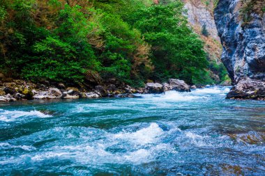 Yaz aylarında nehir dağ güzel manzarasına. Dağ nehir TH