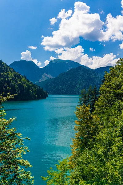 Prachtig landschap met meer, bos en bergen — Stockfoto