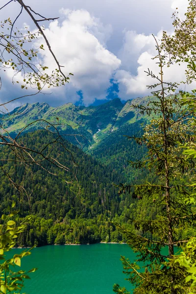 Göl, orman ve dağlarla güzel bir manzara. — Stok fotoğraf