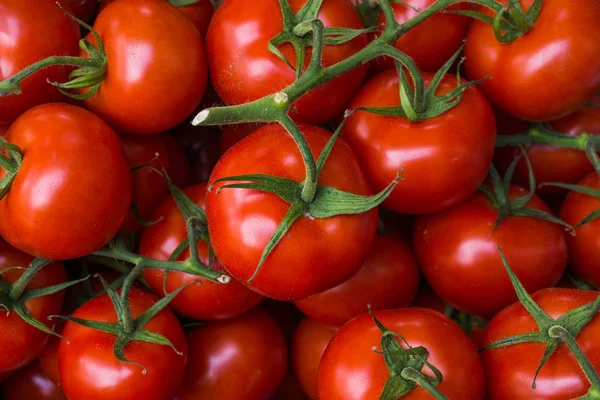 Tomates frescos. tomate vermelho fundo. Grupo de tomates — Fotografia de Stock