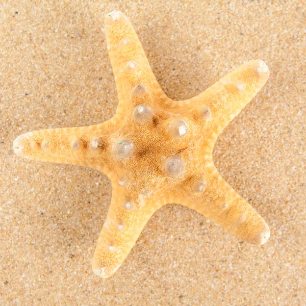 Sommer-Hintergrund. Schönheit Sommer Hintergrund für die Sommerzeit .sta — Stockfoto