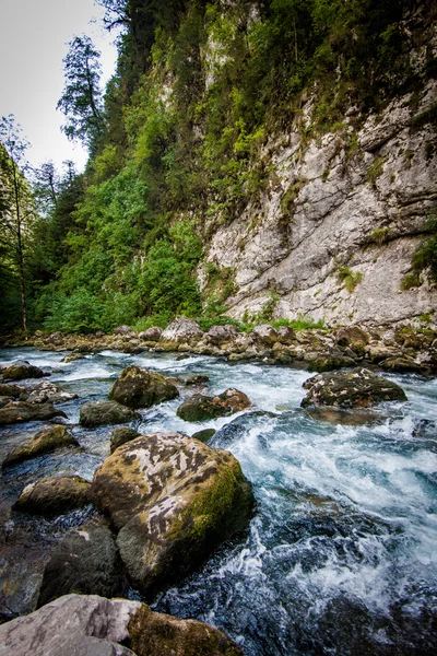 Río de montaña. Composición natural. paisaje con montañas tr —  Fotos de Stock