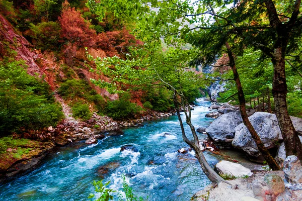 美しさ、自然風景風景の背景。自然組成. — ストック写真