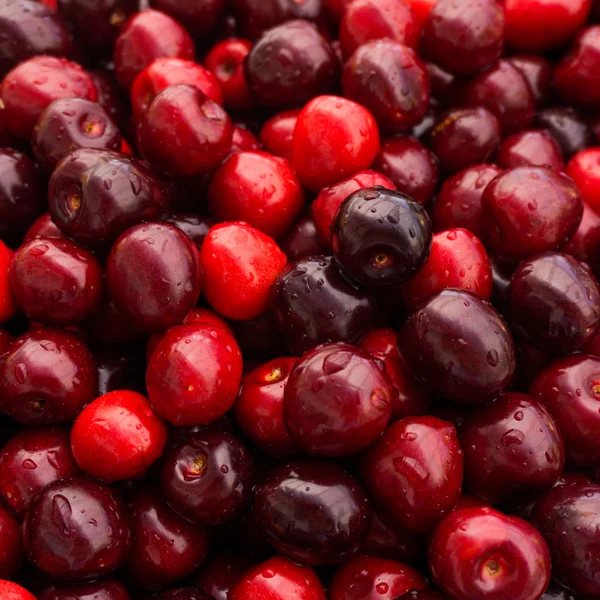 Sweet cherry.  cherry background — Stock Photo, Image