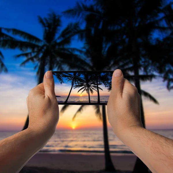 Mooie zonsondergang. Tropische zonsondergang, palmbomen. Hand met een smartphon — Stockfoto