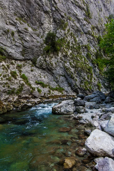 Río de montaña. Composición natural. paisaje con montañas tr —  Fotos de Stock