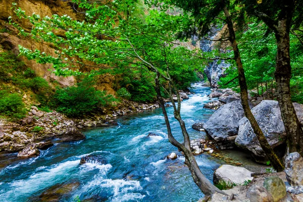 Hermosa vista del río de montaña en verano. Río de montaña en th —  Fotos de Stock