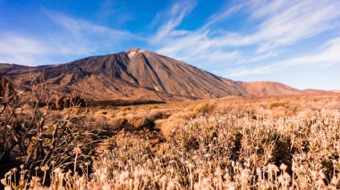 El Teide Ulusal Parkı, Tenerife, Kanarya Adaları, İspanya 