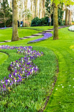 Hollanda 'daki Keukenhof Parkı 