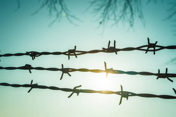 Background of barbed wire against the sky.