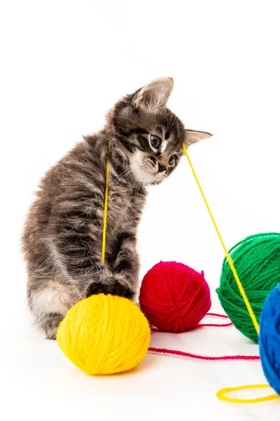 Chaton Avec Des Boules Fils Petit Chaton Sur Fond Blanc — Photo