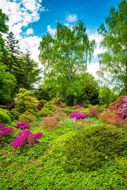 Baharda çiçek açan ağaçları olan güzel bir bahçe.