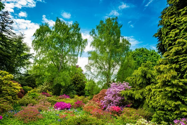 Hermoso Jardín Con Árboles Flor Durante Primavera —  Fotos de Stock