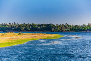 Mısır 'da Nil Nehri. Nil Nehri 'nde Yaşam