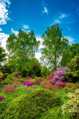 Baharda çiçek açan ağaçları olan güzel bir bahçe.
