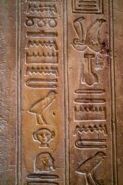 Eski Mısır hiyeroglifleri taşın üzerine kazınmış. 