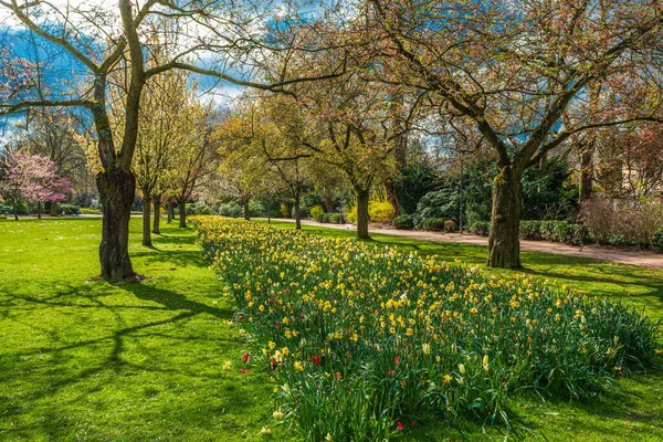 Hermoso Jardín Con Árboles Flor Durante Primavera —  Fotos de Stock