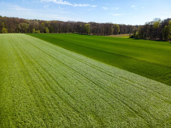 Zemědělská Pole Venkov Výstřel Shora Farmářské Pole — Stock fotografie