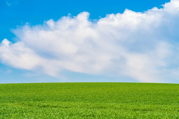 Prados Verdes Con Cielo Azul Fondo Nubes — Foto de Stock