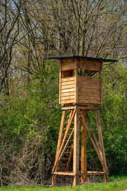 Ormandaki avcı evi. Ahşap Av Locası