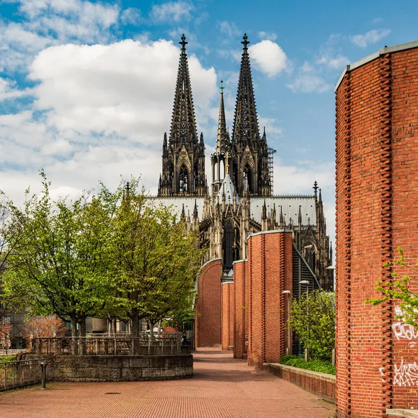 Katedra Kolonii Niemcy Koelner Dom — Zdjęcie stockowe