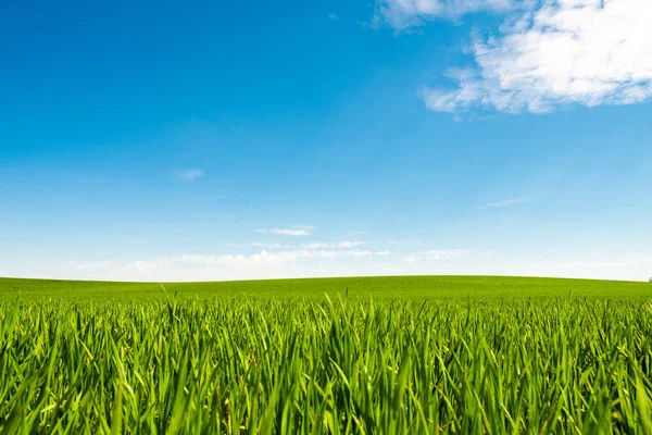 Colina Verde Com Nuvens Sonhadoras Céu Azul Fundo — Fotografia de Stock