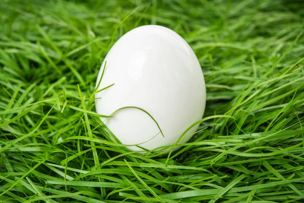 Vit Kyckling Ägg Ligger Det Gröna Gräset — Stockfoto
