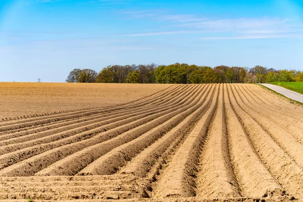 Vista Dei Campi Arati Primavera Coltivazione — Foto Stock