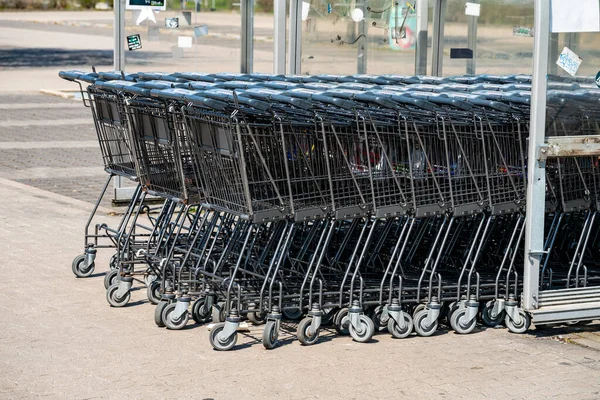 Chariots Supermarché Dans Magasin — Photo