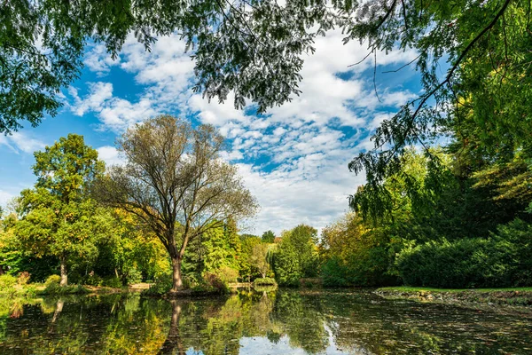 Meer Met Reflectie Vijver Het Openbaar Park — Stockfoto