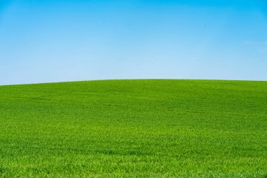 Arka planda mavi gökyüzü ve rüya gibi bulutları olan yeşil tepe..